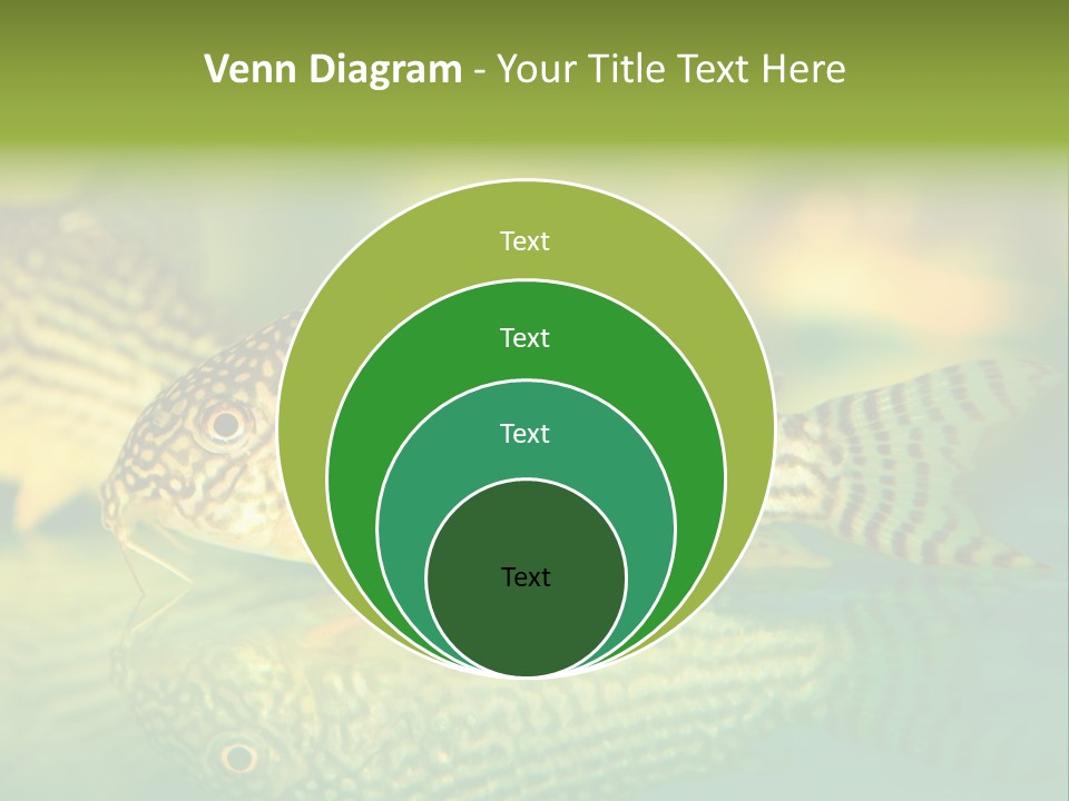 Environment Amazon Recreational PowerPoint Template