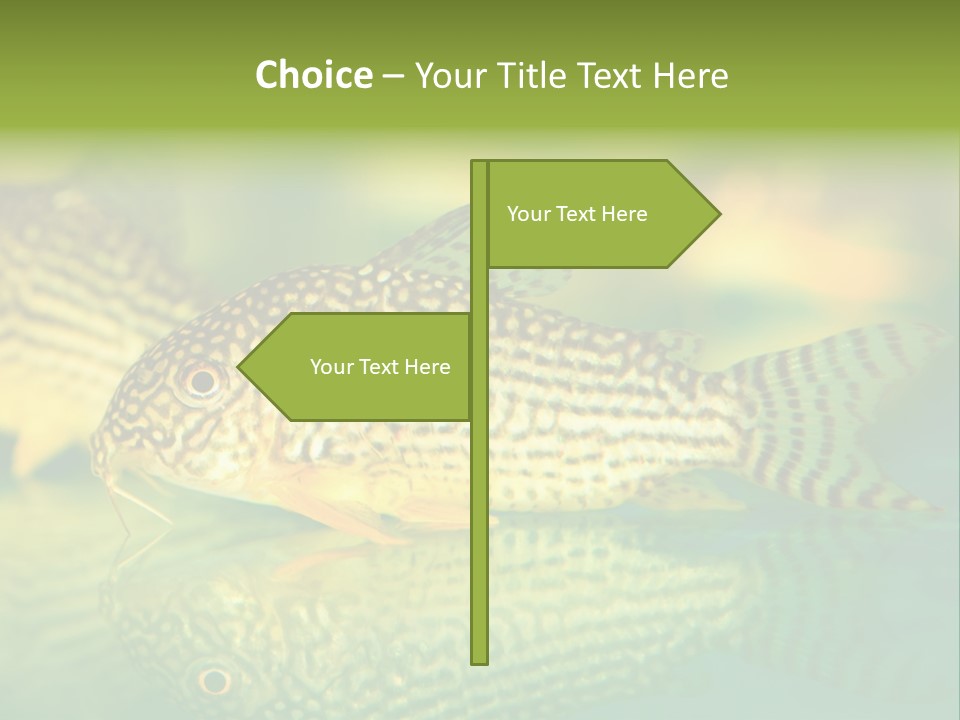 Environment Amazon Recreational PowerPoint Template