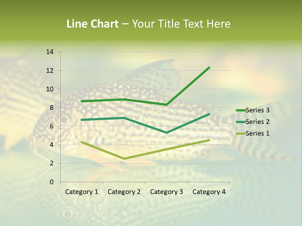 Environment Amazon Recreational PowerPoint Template