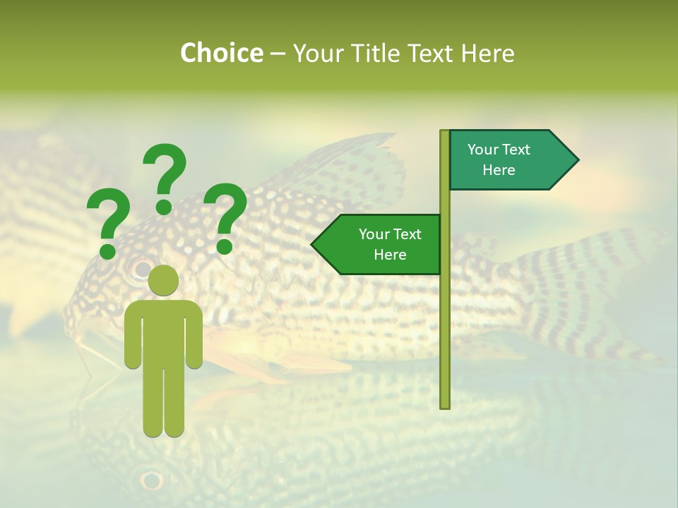 Environment Amazon Recreational PowerPoint Template