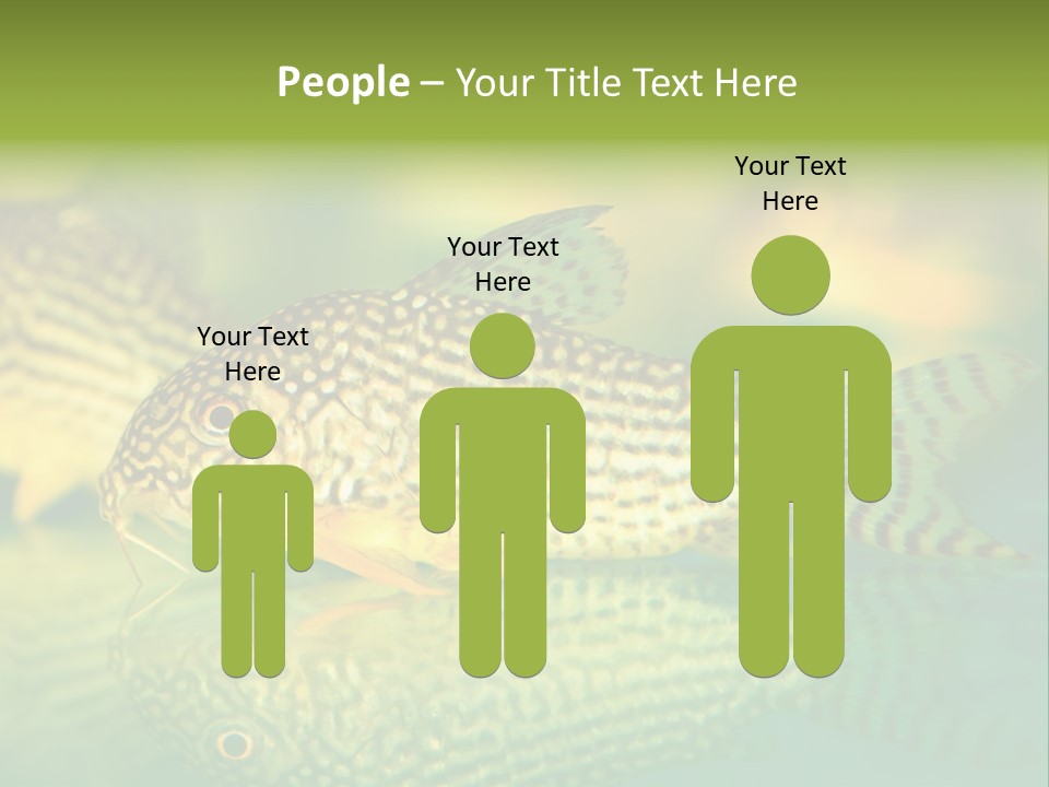 Environment Amazon Recreational PowerPoint Template