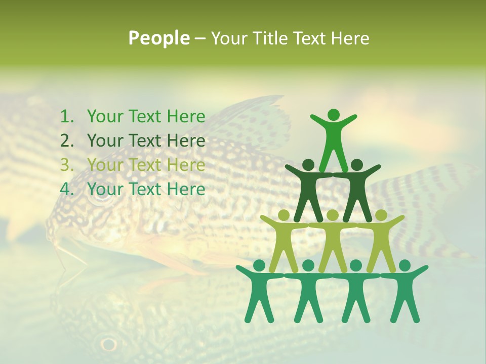 Environment Amazon Recreational PowerPoint Template