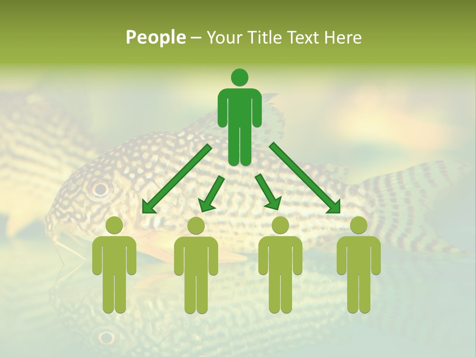 Environment Amazon Recreational PowerPoint Template