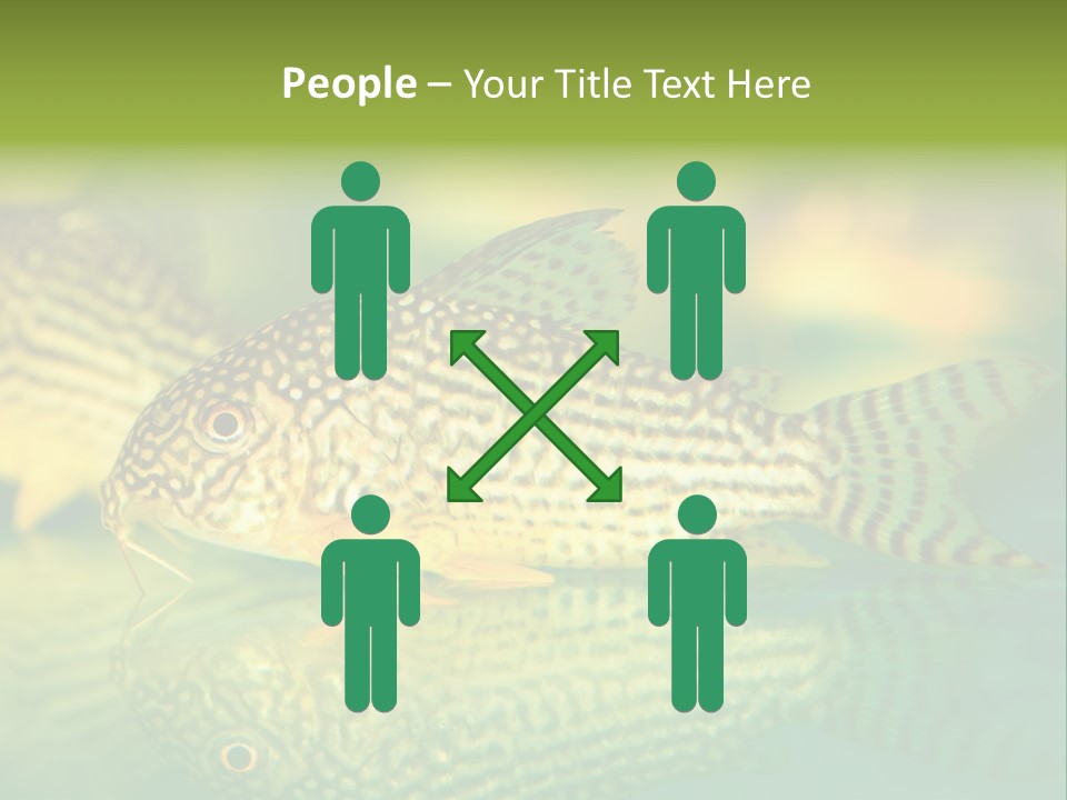 Environment Amazon Recreational PowerPoint Template