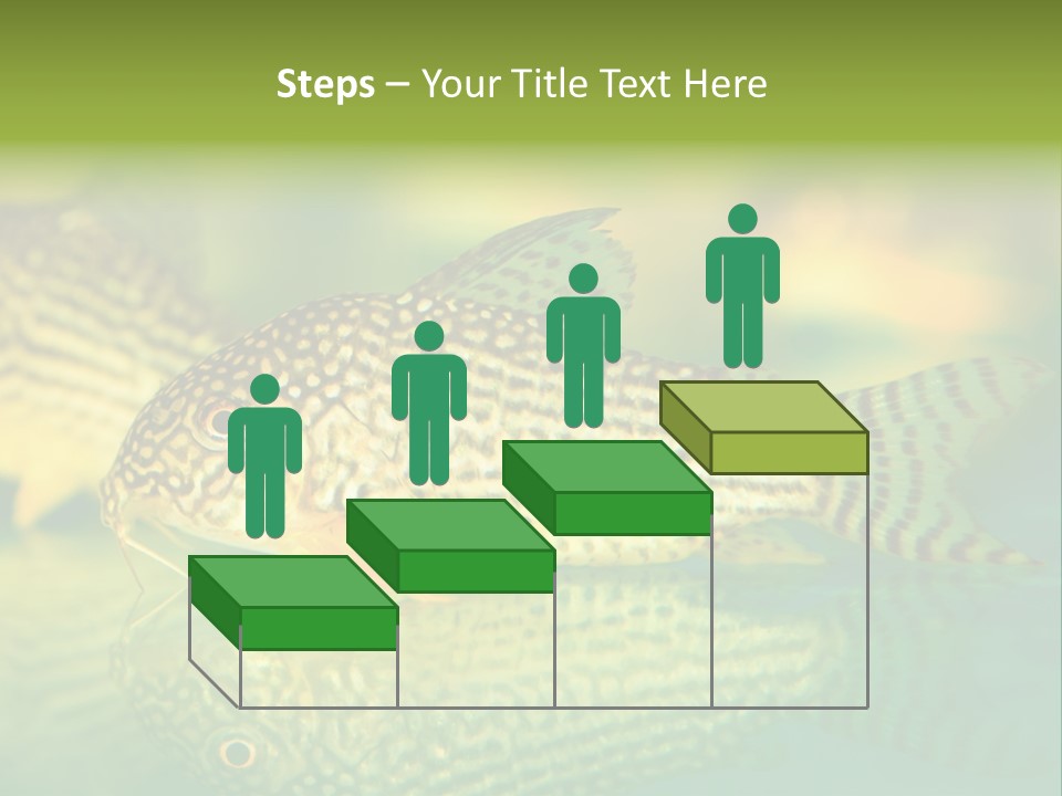 Environment Amazon Recreational PowerPoint Template