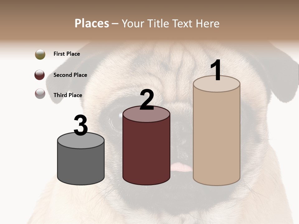 Small Tongue Hound PowerPoint Template
