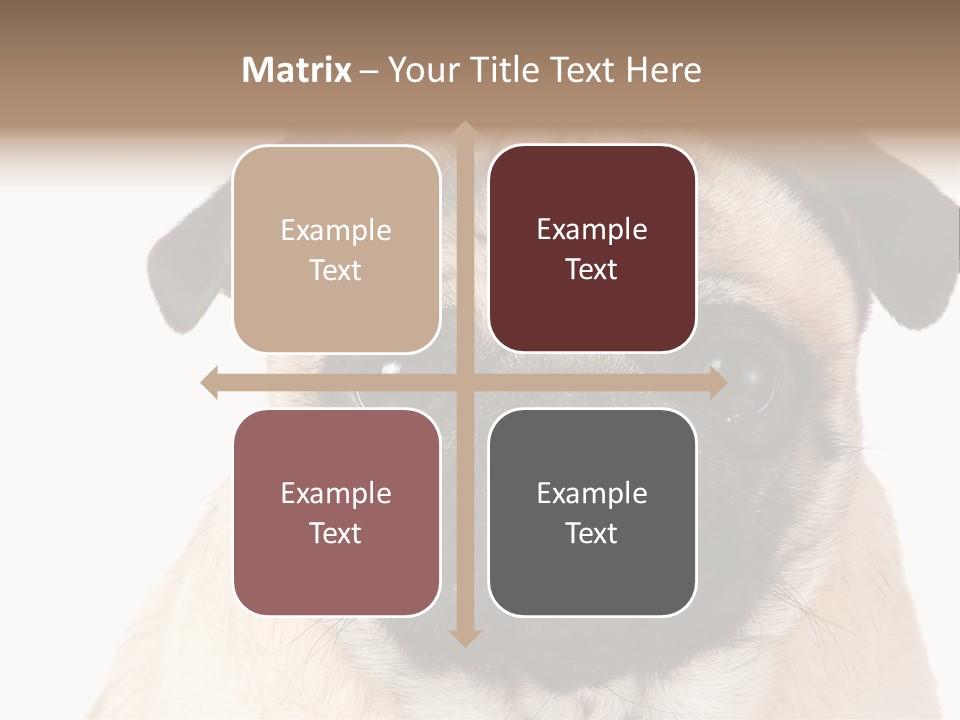 Small Tongue Hound PowerPoint Template