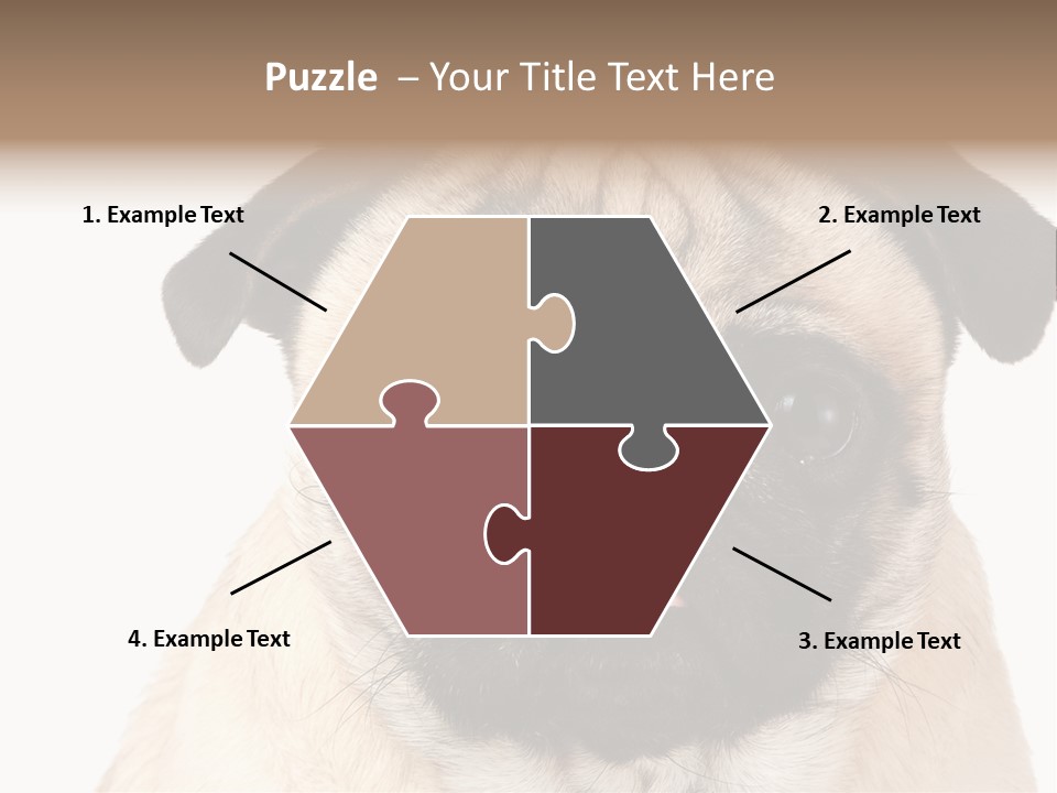 Small Tongue Hound PowerPoint Template