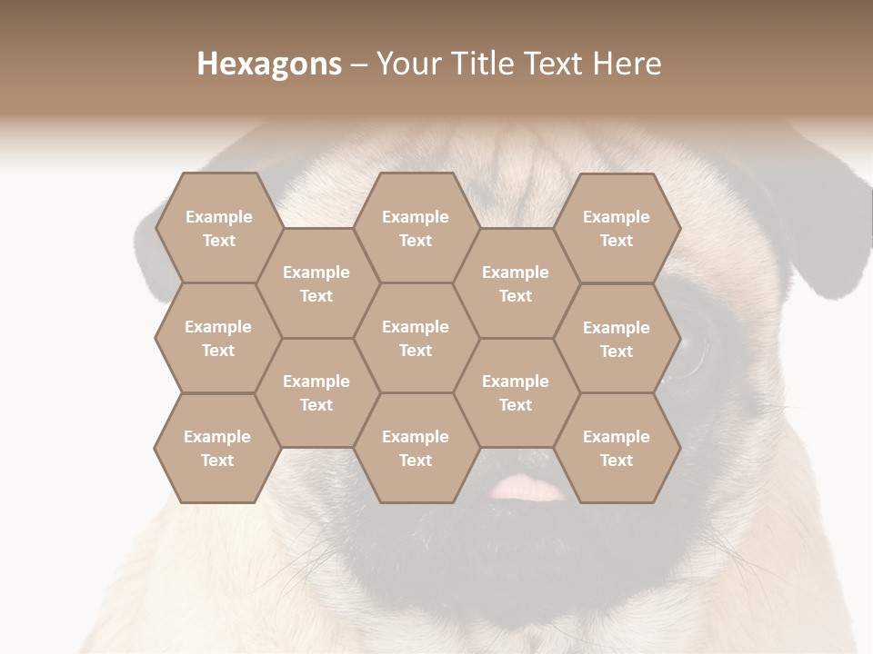 Small Tongue Hound PowerPoint Template