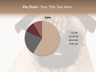 Small Tongue Hound PowerPoint Template