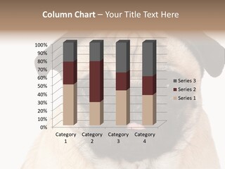 Small Tongue Hound PowerPoint Template