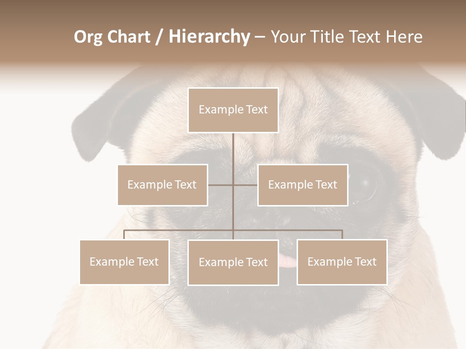 Small Tongue Hound PowerPoint Template