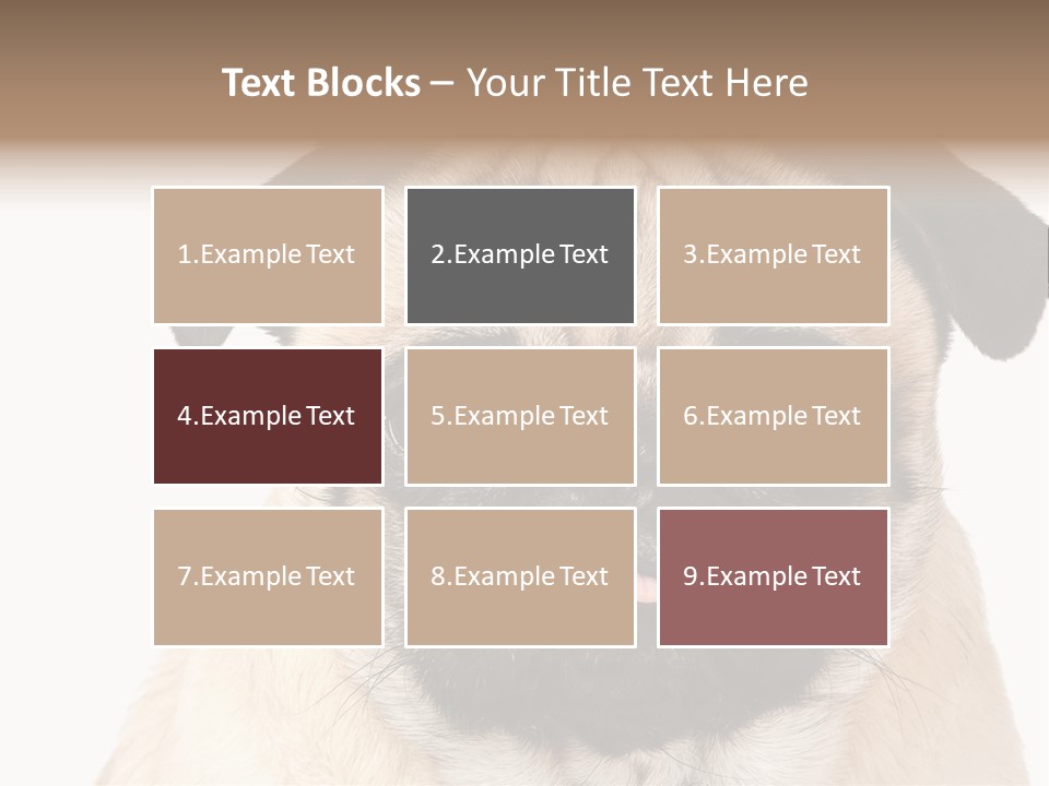 Small Tongue Hound PowerPoint Template