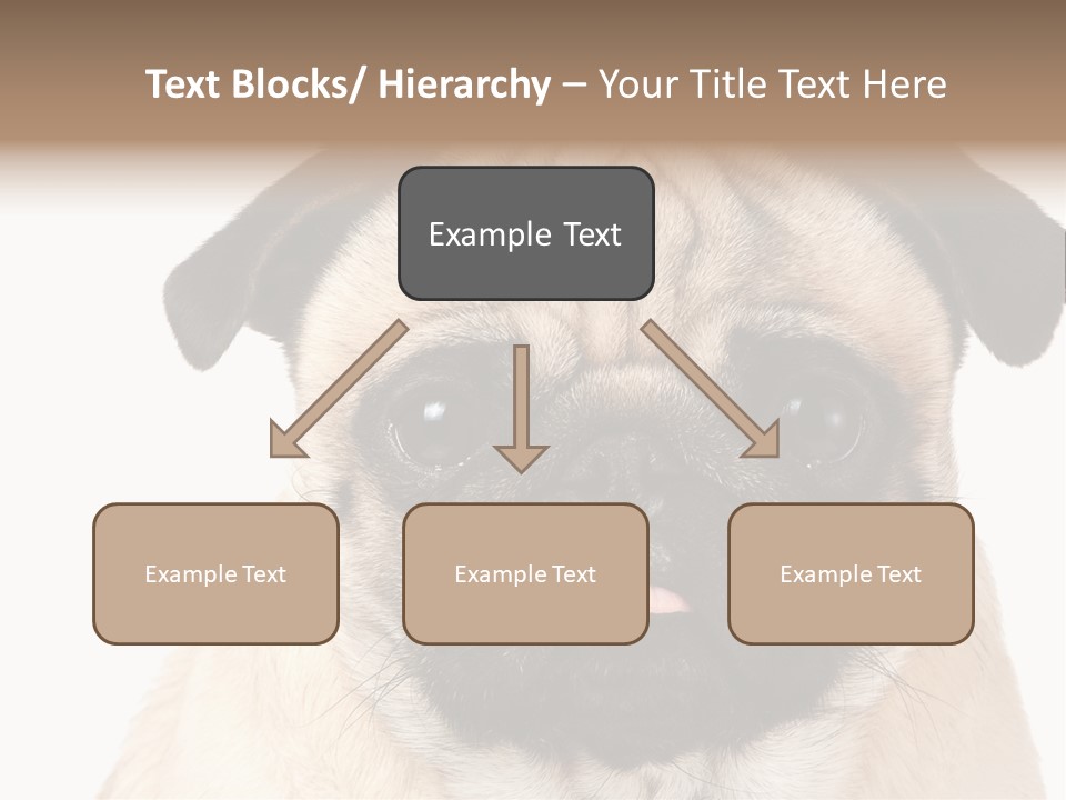 Small Tongue Hound PowerPoint Template