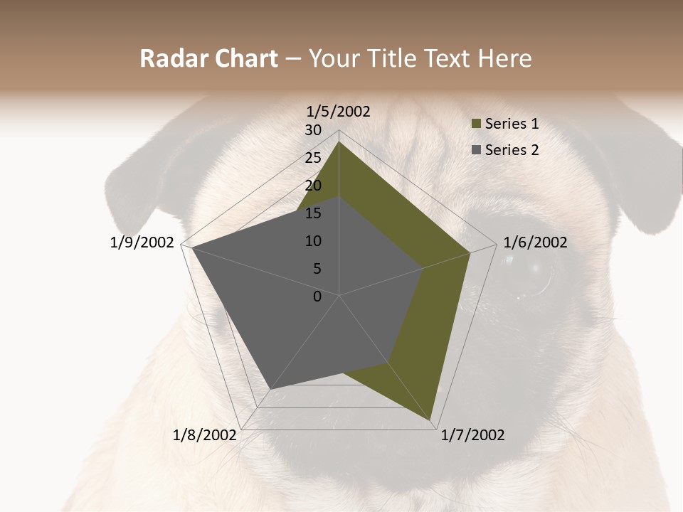 Small Tongue Hound PowerPoint Template