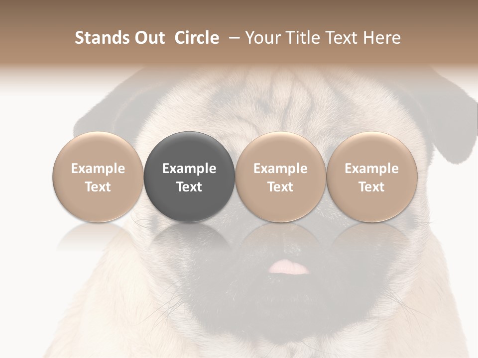 Small Tongue Hound PowerPoint Template