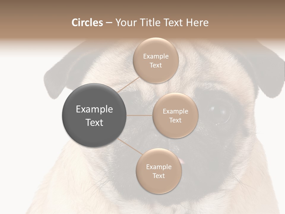 Small Tongue Hound PowerPoint Template