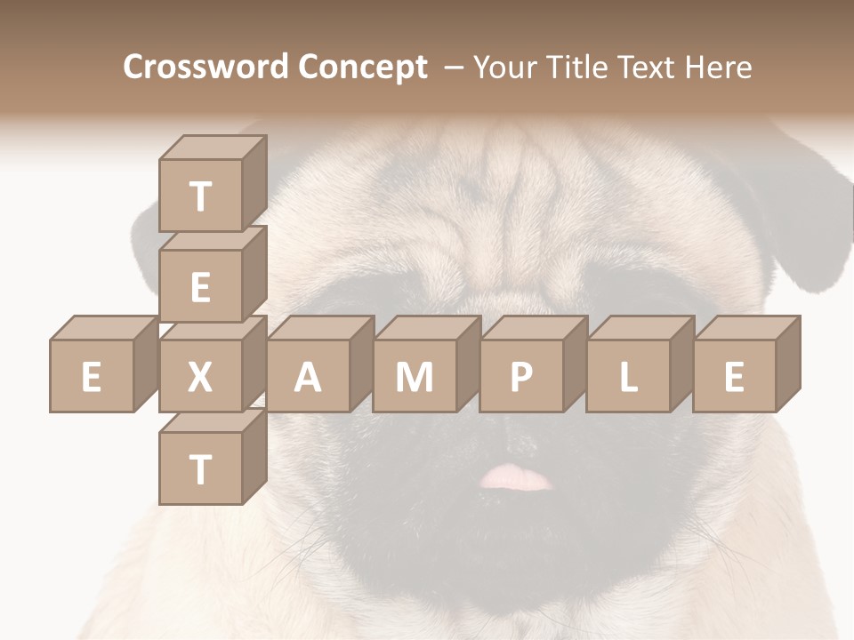 Small Tongue Hound PowerPoint Template