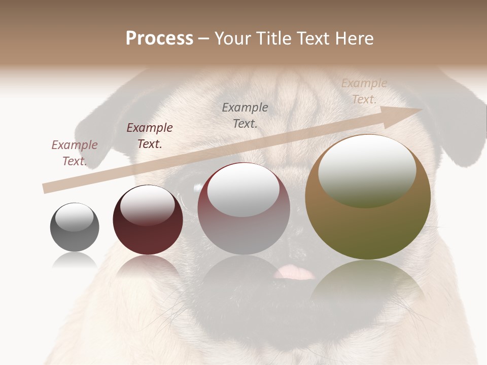 Small Tongue Hound PowerPoint Template