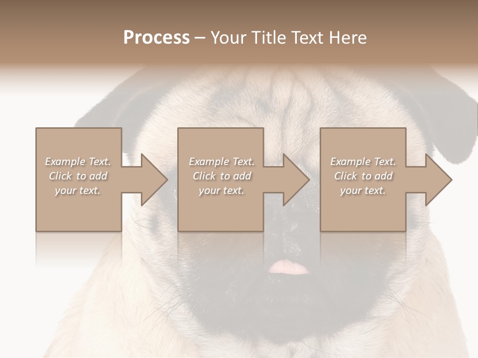 Small Tongue Hound PowerPoint Template