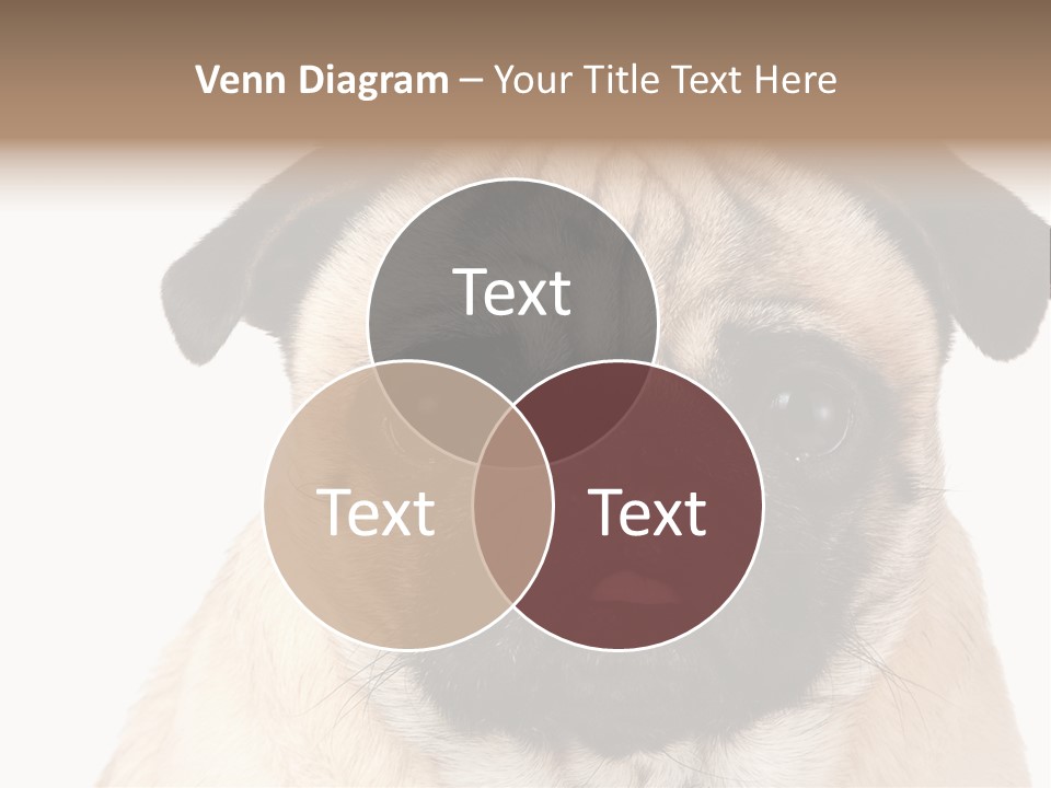 Small Tongue Hound PowerPoint Template