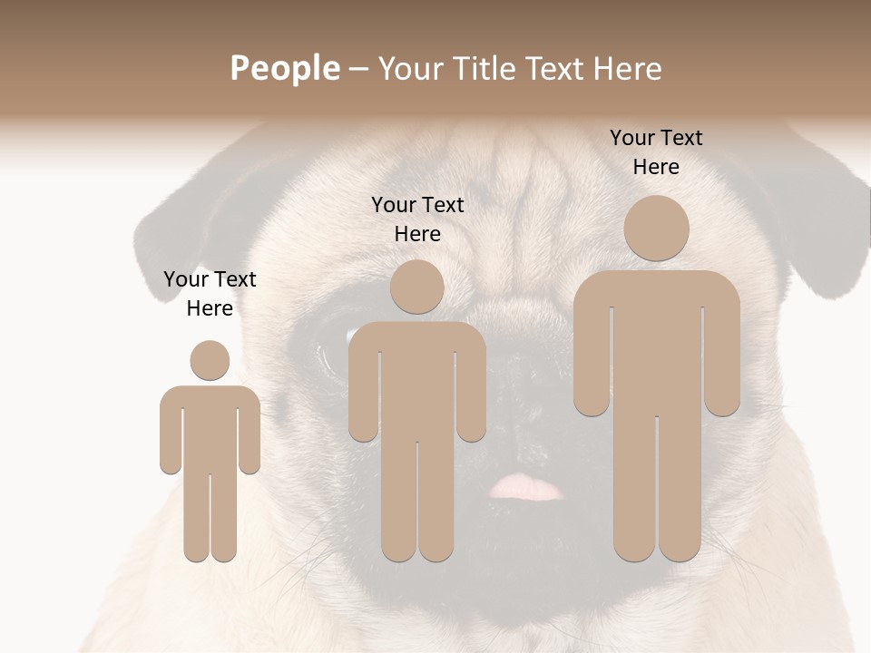 Small Tongue Hound PowerPoint Template