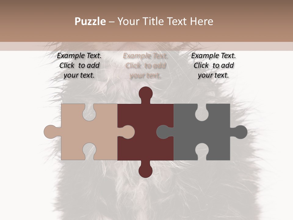 Cute Cat Adorable PowerPoint Template