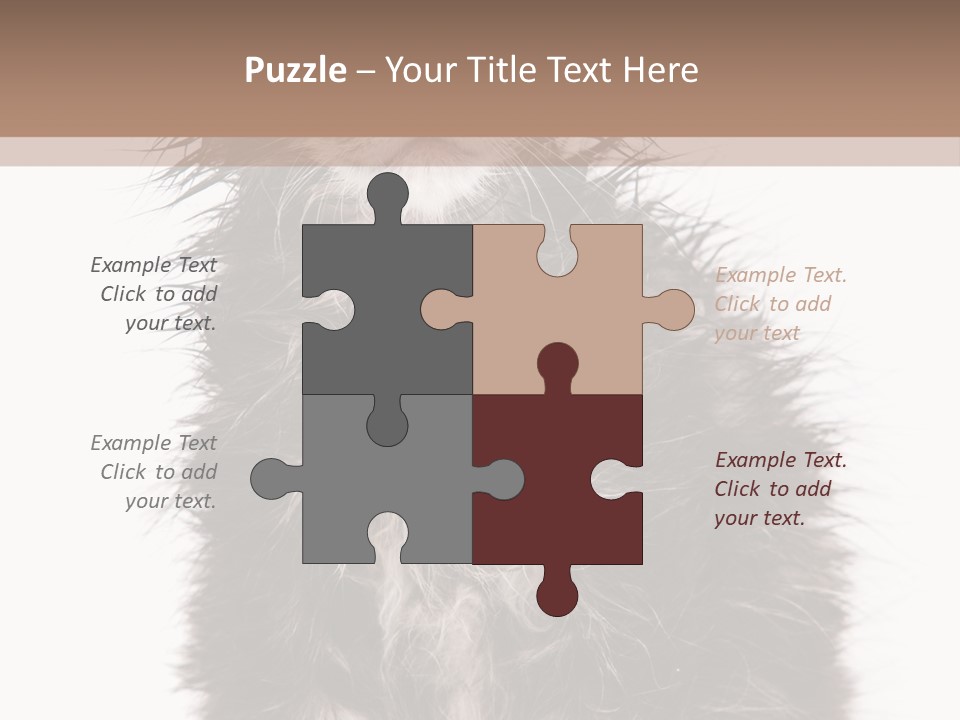 Cute Cat Adorable PowerPoint Template