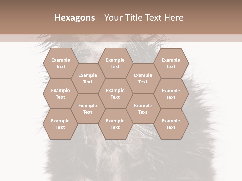 Cute Cat Adorable PowerPoint Template