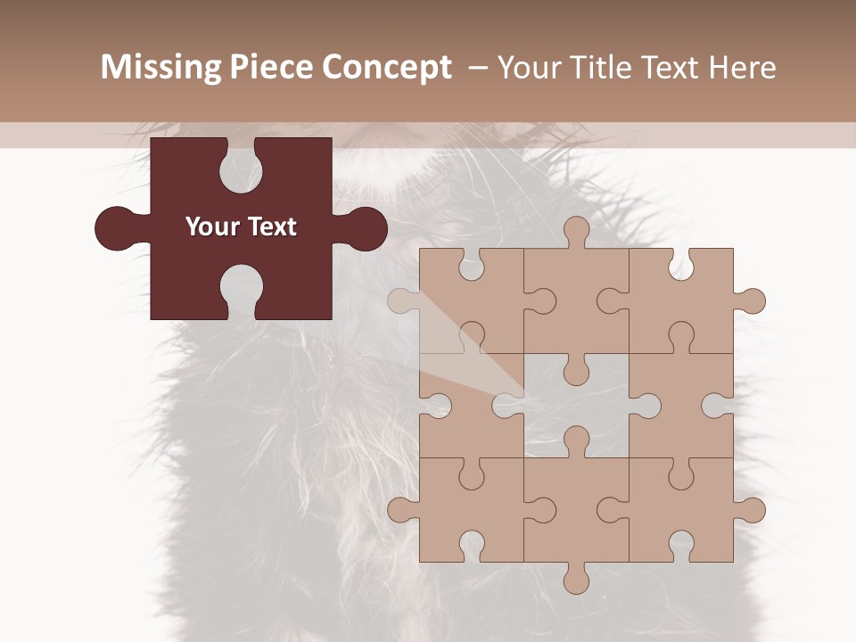 Cute Cat Adorable PowerPoint Template