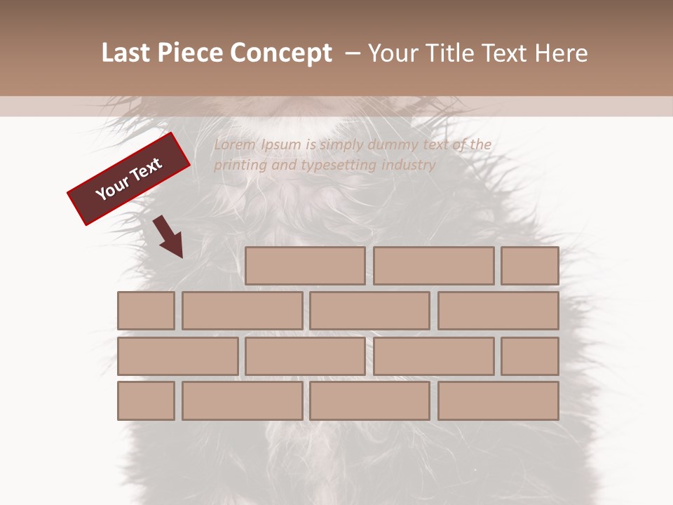 Cute Cat Adorable PowerPoint Template