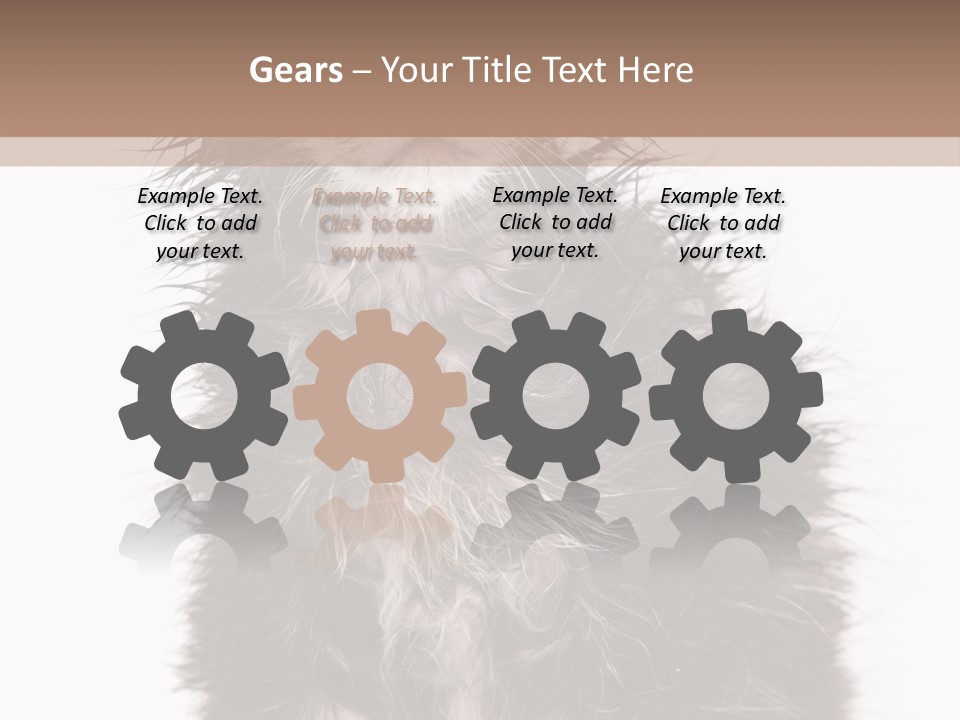 Cute Cat Adorable PowerPoint Template