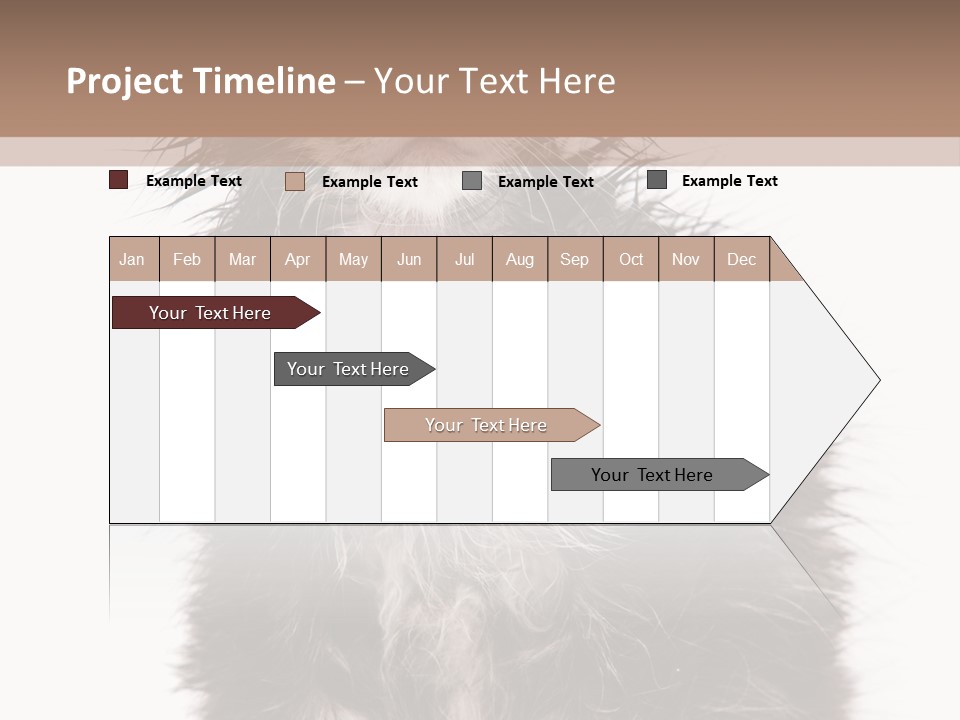 Cute Cat Adorable PowerPoint Template