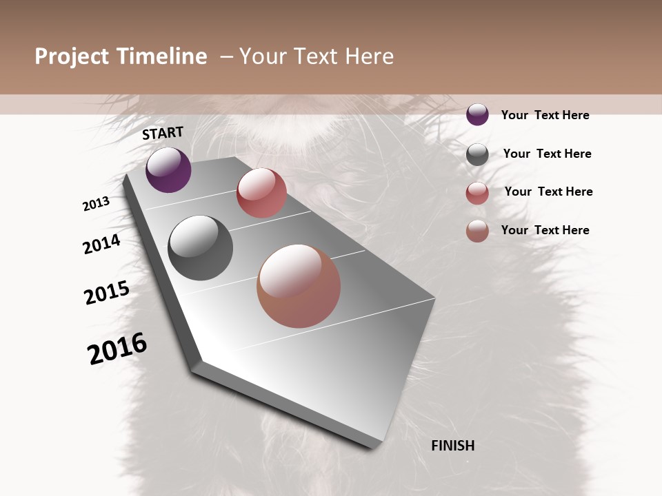 Cute Cat Adorable PowerPoint Template