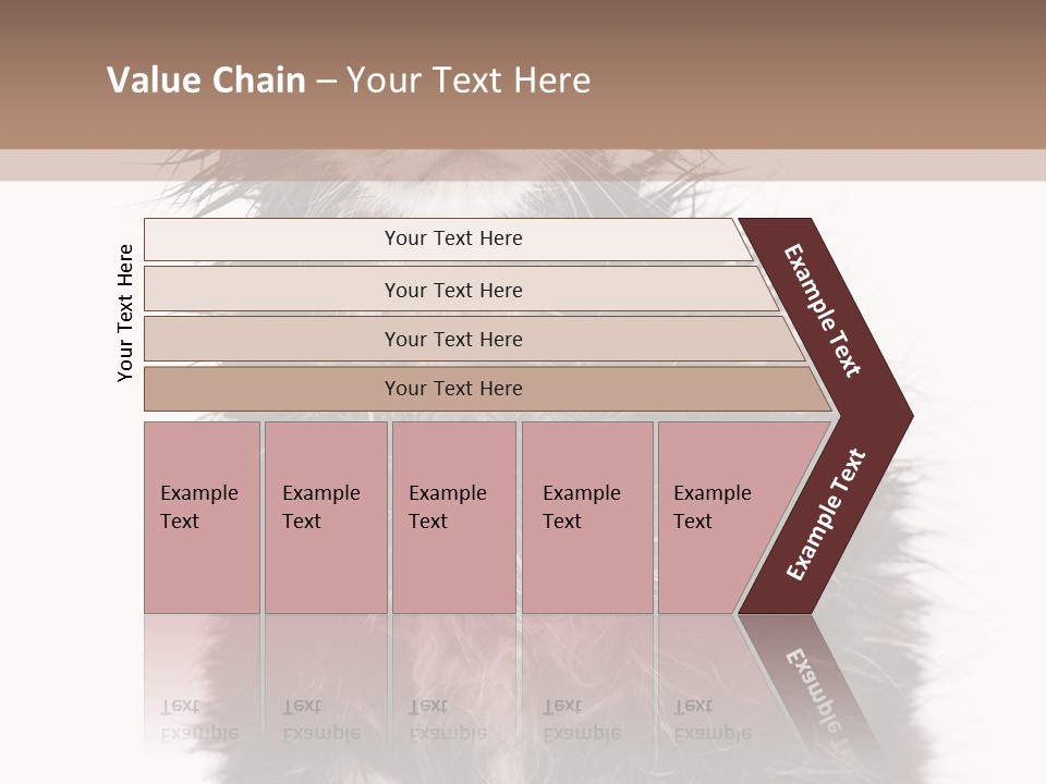 Cute Cat Adorable PowerPoint Template