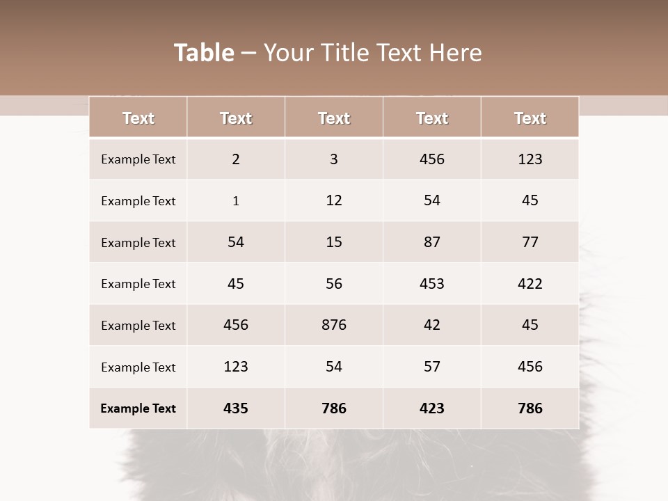 Cute Cat Adorable PowerPoint Template