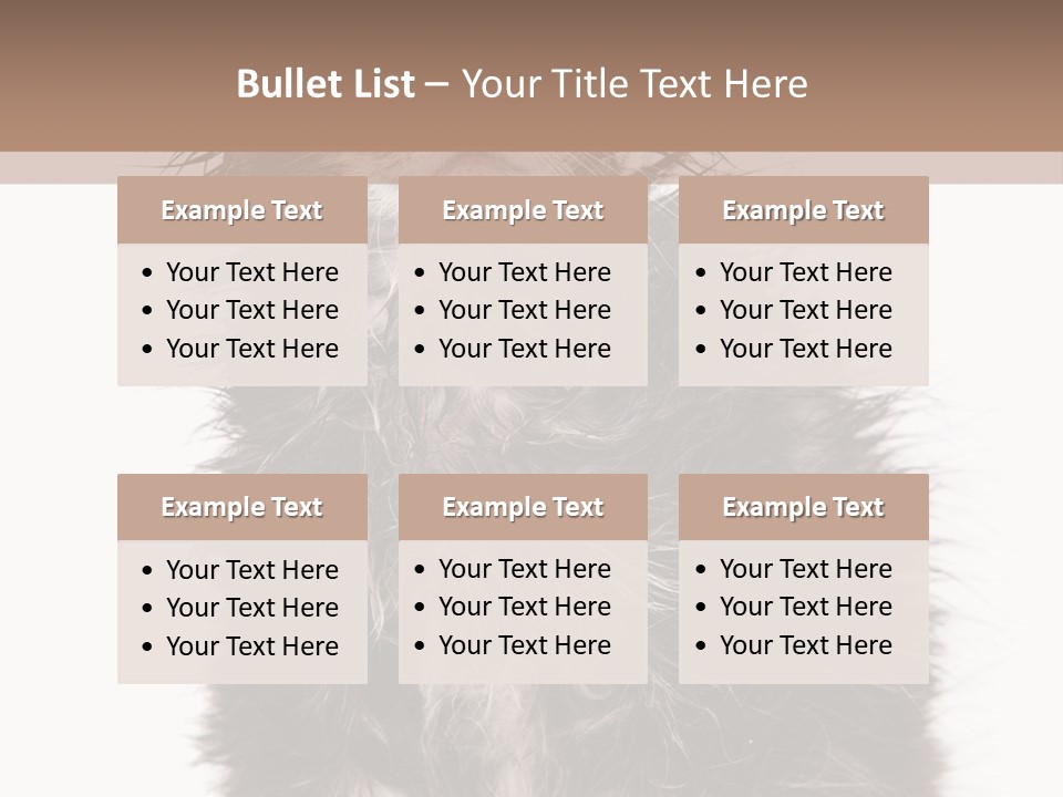 Cute Cat Adorable PowerPoint Template