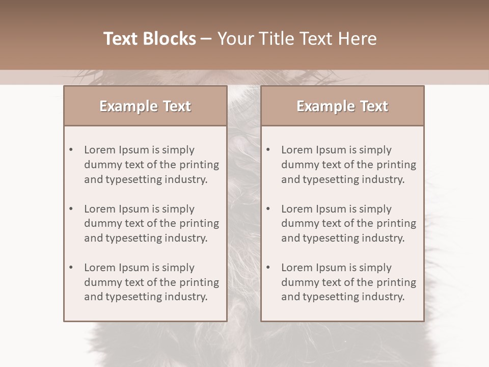 Cute Cat Adorable PowerPoint Template