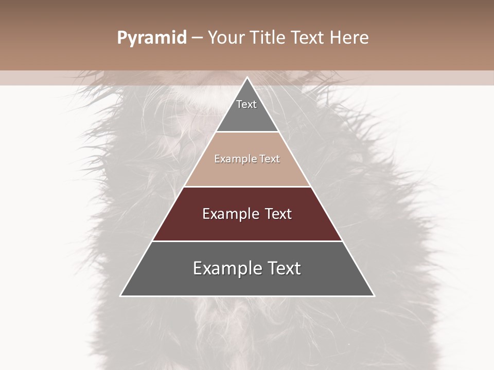 Cute Cat Adorable PowerPoint Template