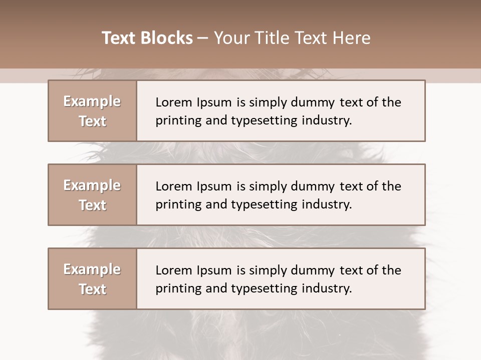 Cute Cat Adorable PowerPoint Template