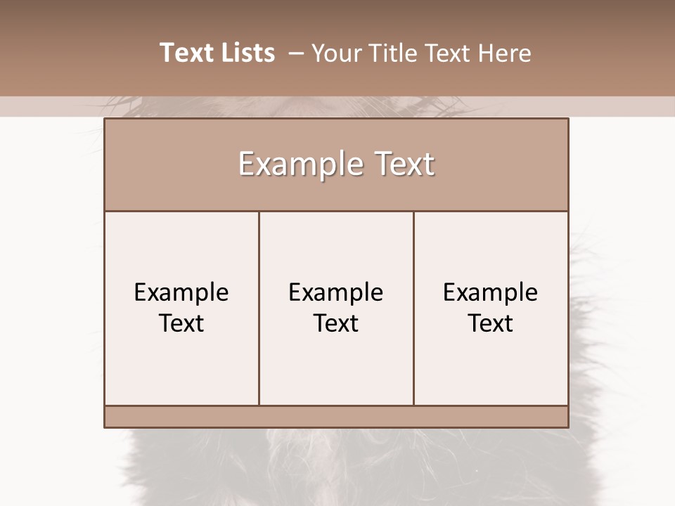 Cute Cat Adorable PowerPoint Template