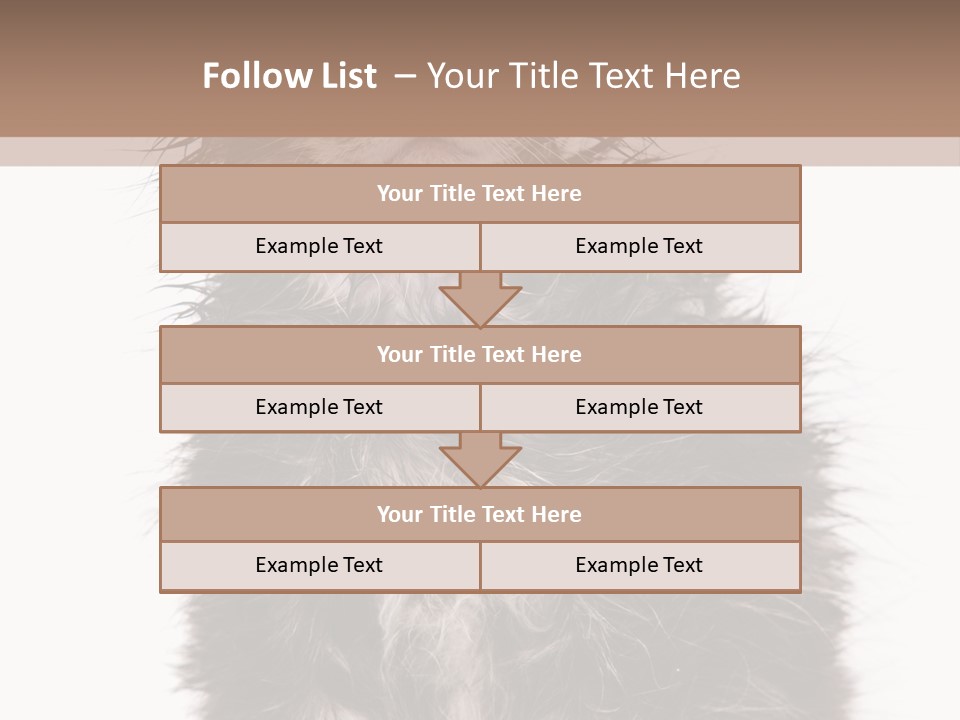 Cute Cat Adorable PowerPoint Template