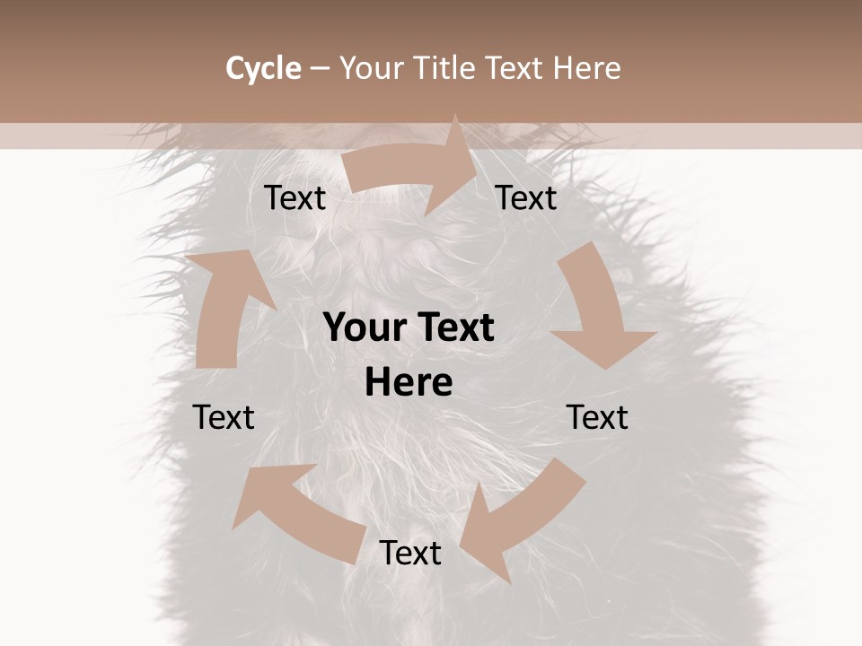 Cute Cat Adorable PowerPoint Template