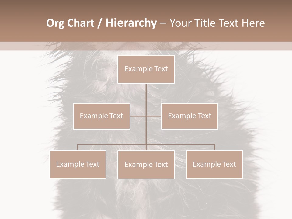 Cute Cat Adorable PowerPoint Template