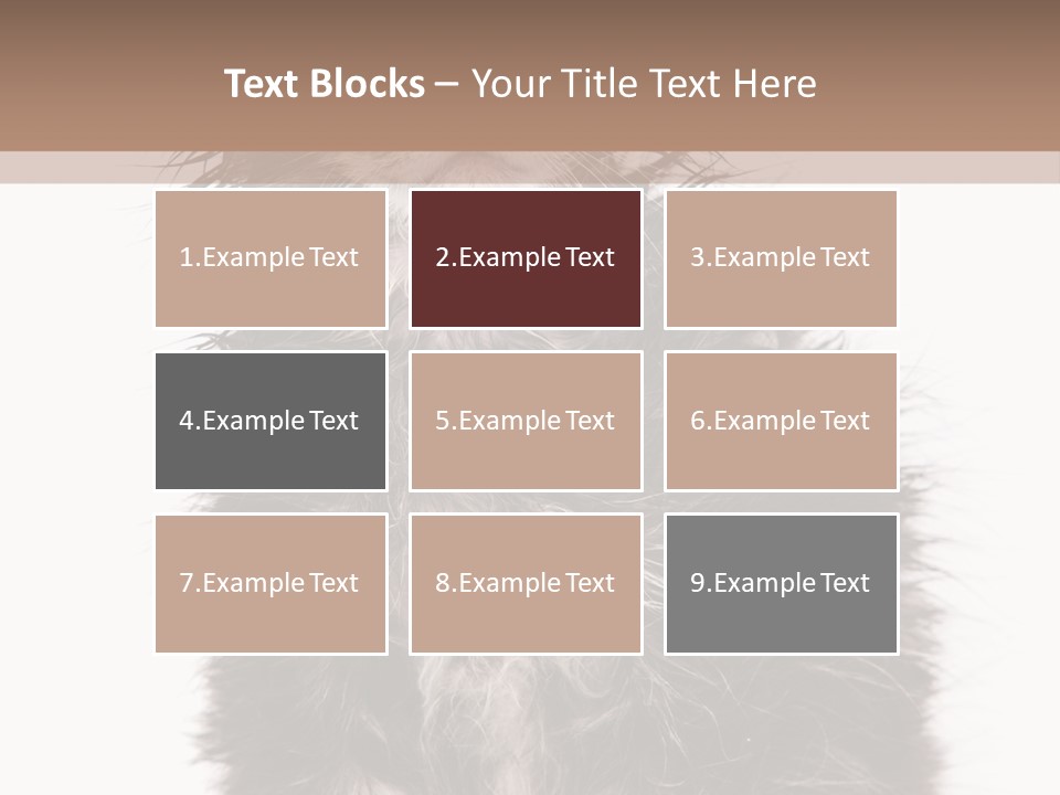 Cute Cat Adorable PowerPoint Template