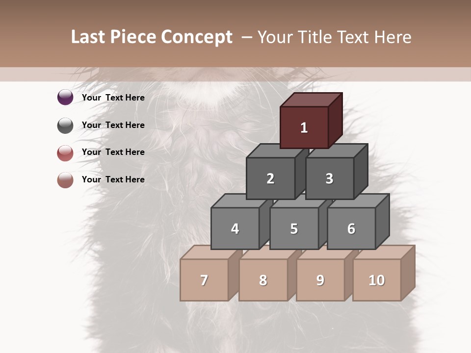 Cute Cat Adorable PowerPoint Template