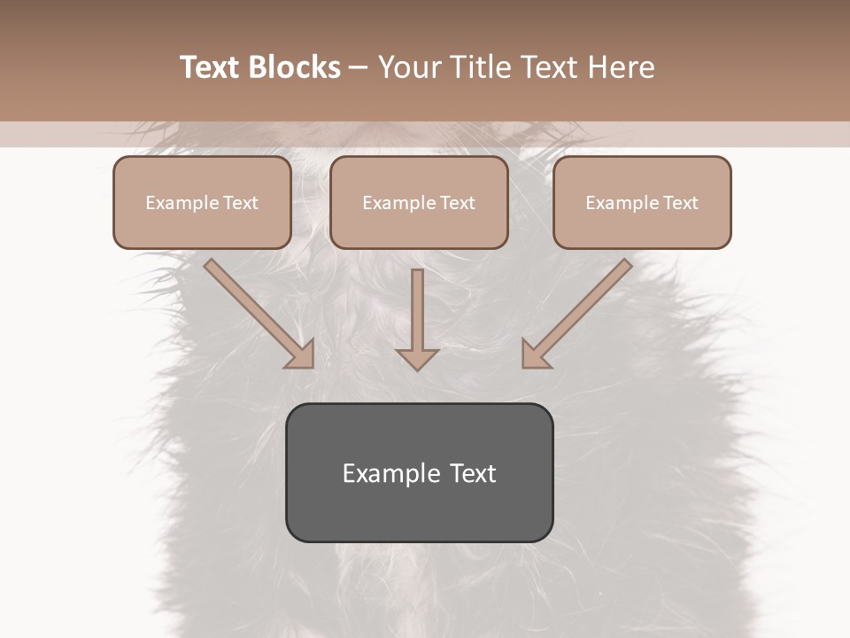 Cute Cat Adorable PowerPoint Template