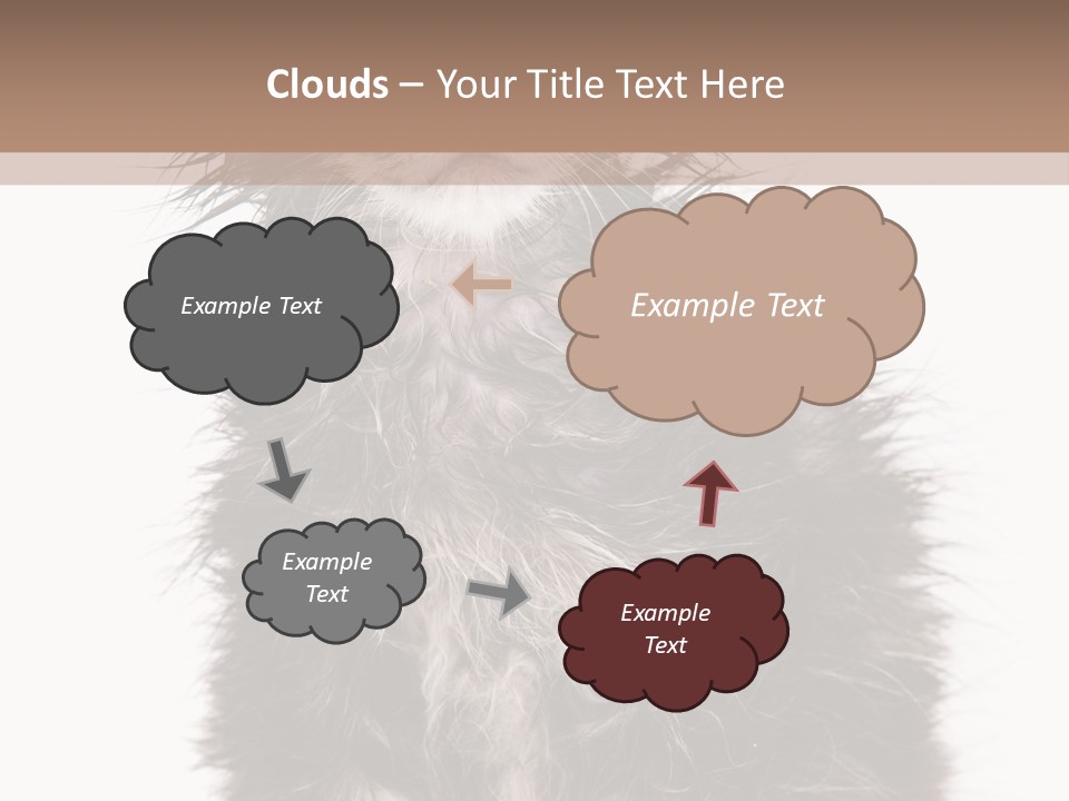 Cute Cat Adorable PowerPoint Template