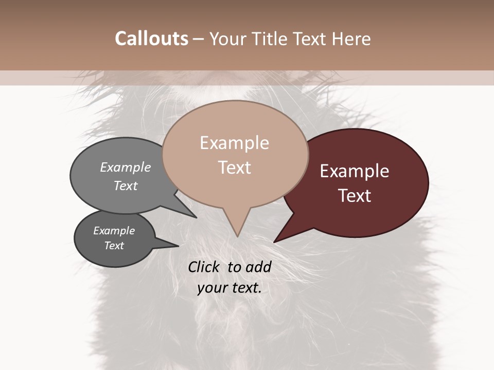 Cute Cat Adorable PowerPoint Template