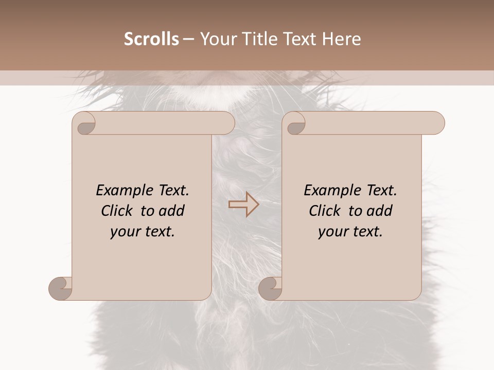 Cute Cat Adorable PowerPoint Template